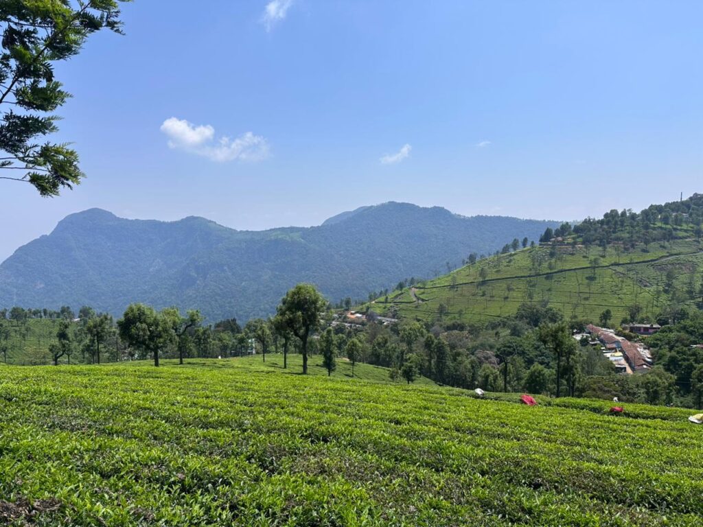 ooty..