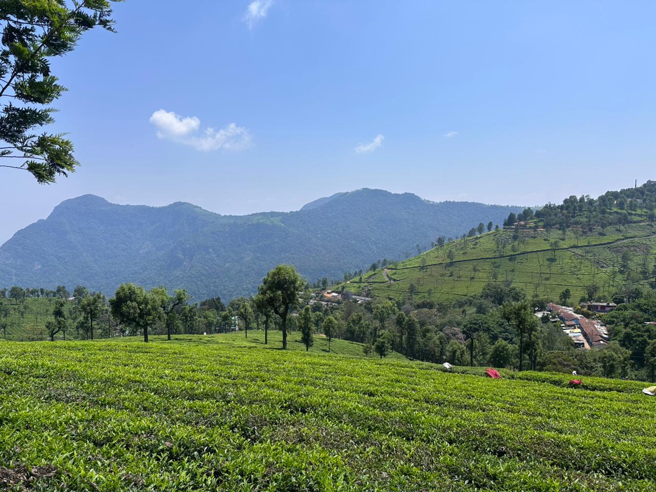ooty..
